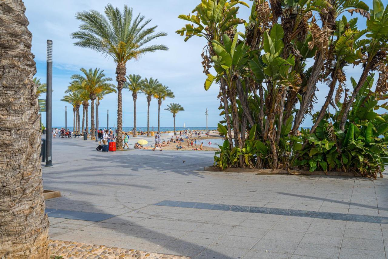 Casa Terra: Apartment 50 Meters From The Beach 托雷维耶哈 外观 照片
